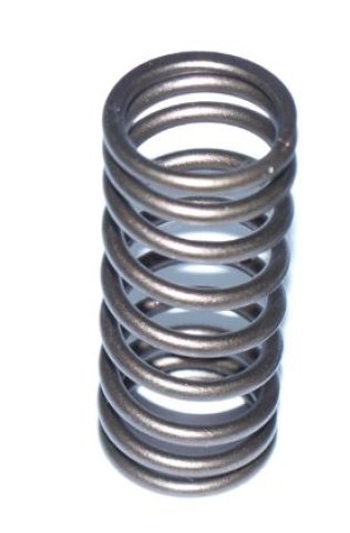 Schrick valve spring