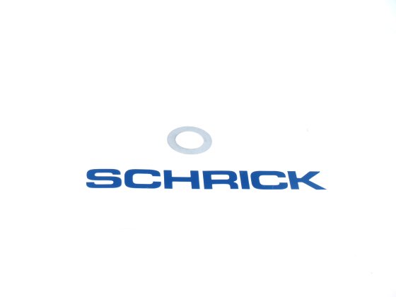 Schrick Washer for valve springs