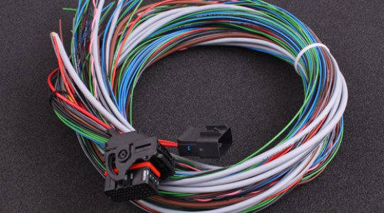 MaxxECU V1 / RACE / PRO harness (connector 1)