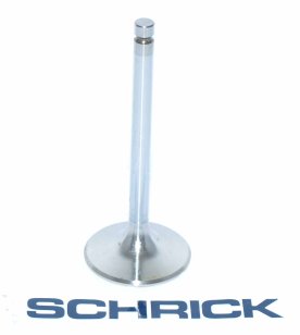Schrick exhaust valve