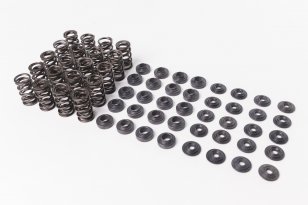 CatCams Valve Spring Kit for Audi TTRS and RS3
