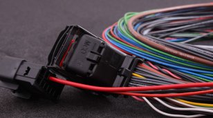 MaxxECU V1 / RACE / PRO harness (connector 1)